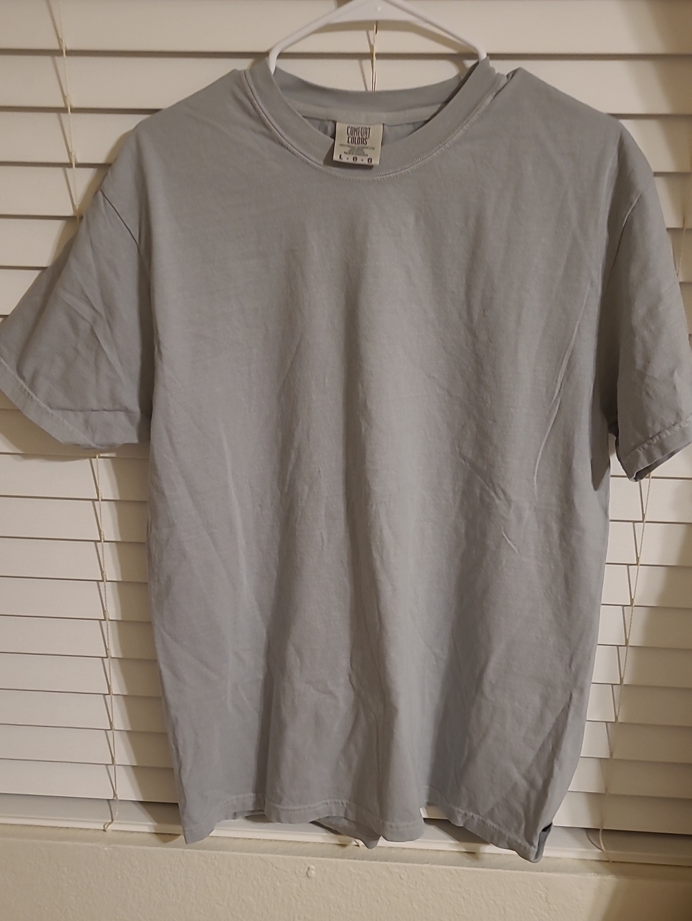 2 Comfort Colors T-Shirts NWOT -